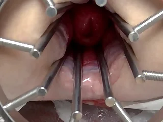 13323 bdsm porn videos